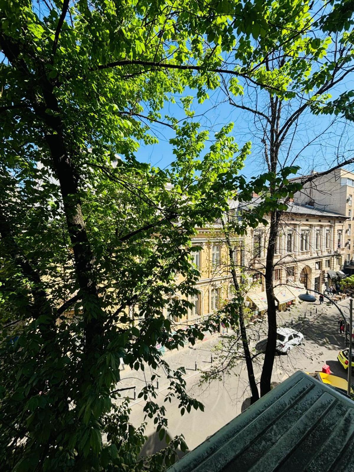 Iancu * Bukarest