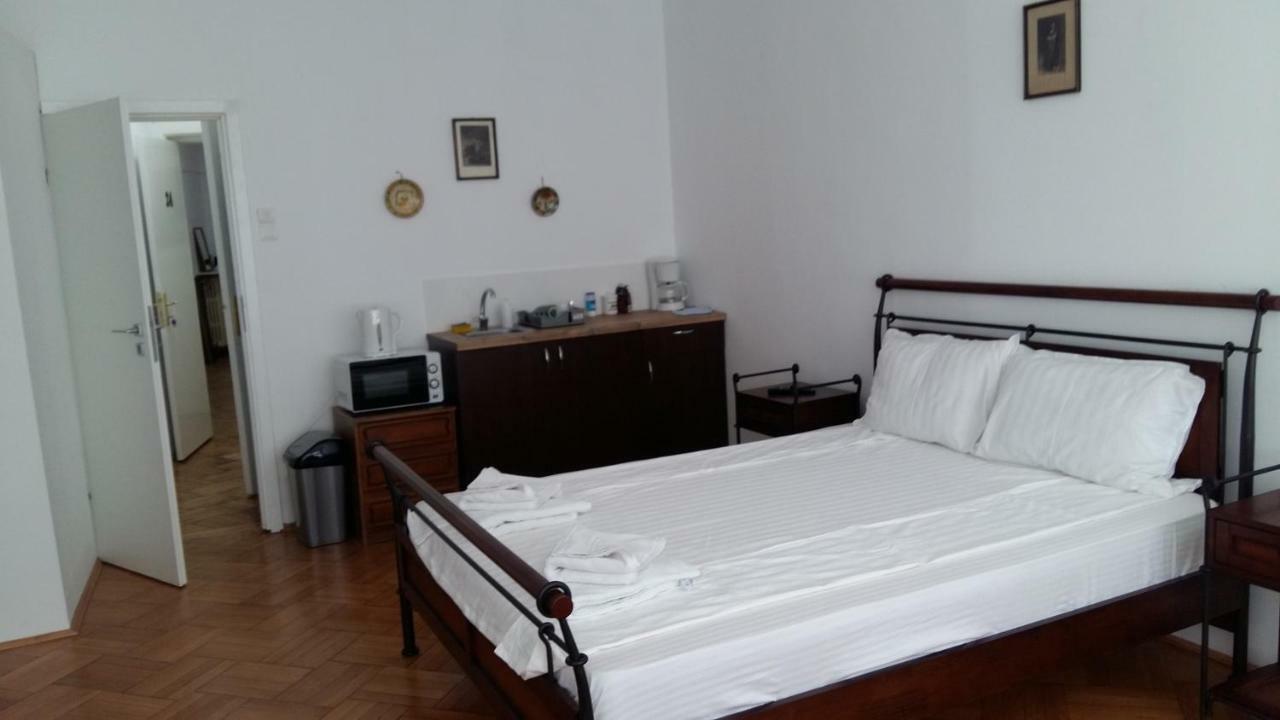 Apartment Iancu *